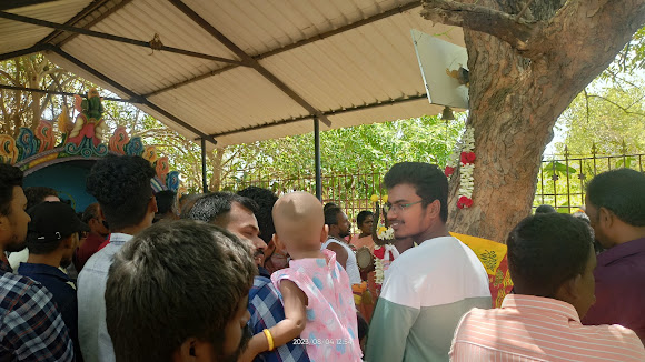 Temple festival procession